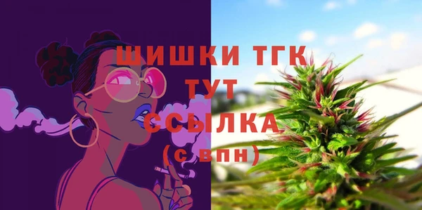 стафф Новокубанск