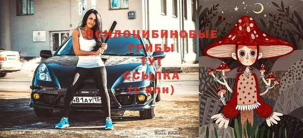 прущая мука Няндома