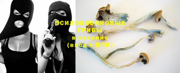 ECSTASY Осинники