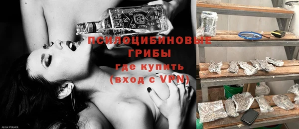 прущая мука Няндома