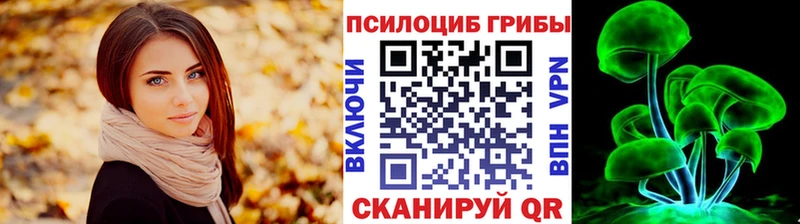 mega   что такое   Зерноград  Псилоцибиновые грибы GOLDEN TEACHER 