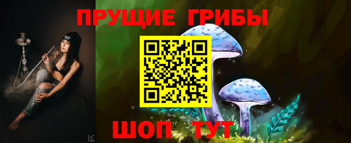 Галлюциногенные грибы GOLDEN TEACHER Зерноград